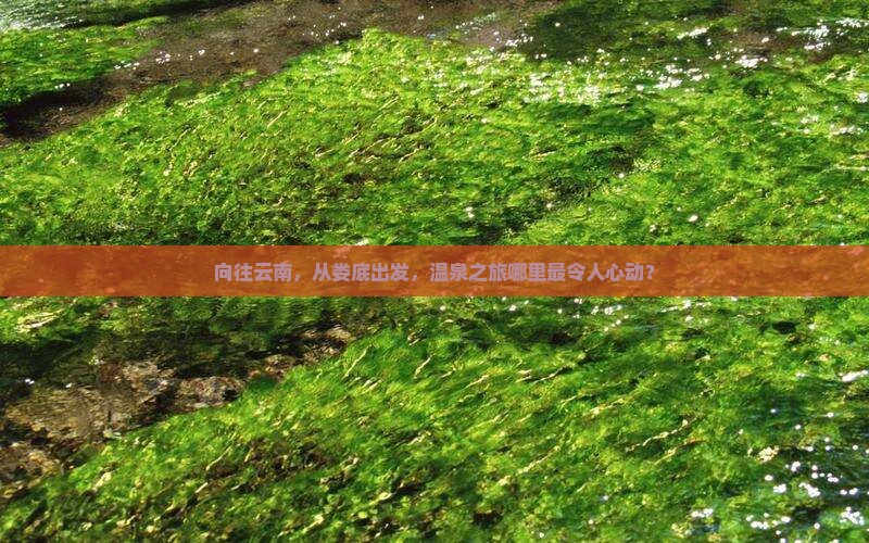 娄底到云南温泉哪里玩