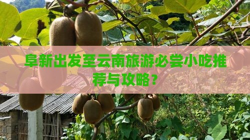 阜新去云南旅游小吃