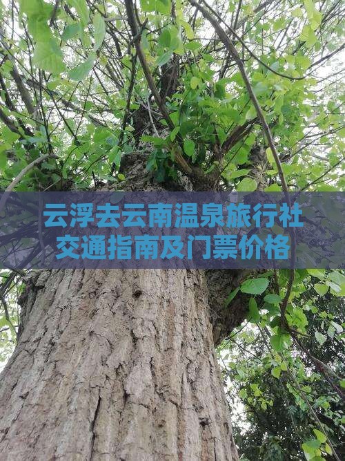 云浮去云南温泉旅行社