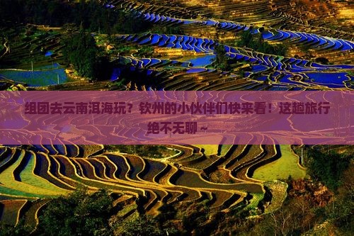 钦州去云南洱海团体旅游