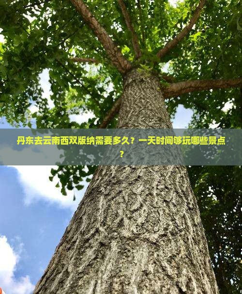 丹东去云南西双版纳一日