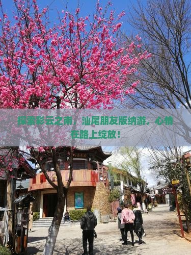汕尾去云南西双版纳景点
