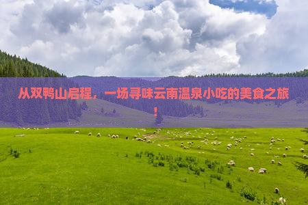 双鸭山到云南温泉旅游小吃