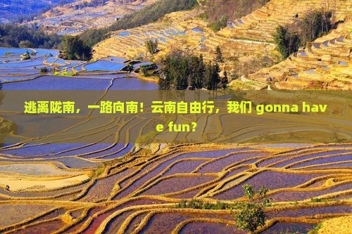 陇南到云南自由团