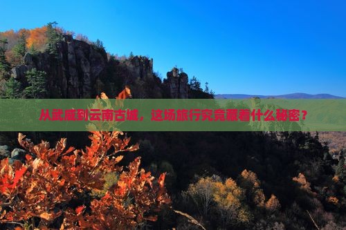 武威去云南古城旅游