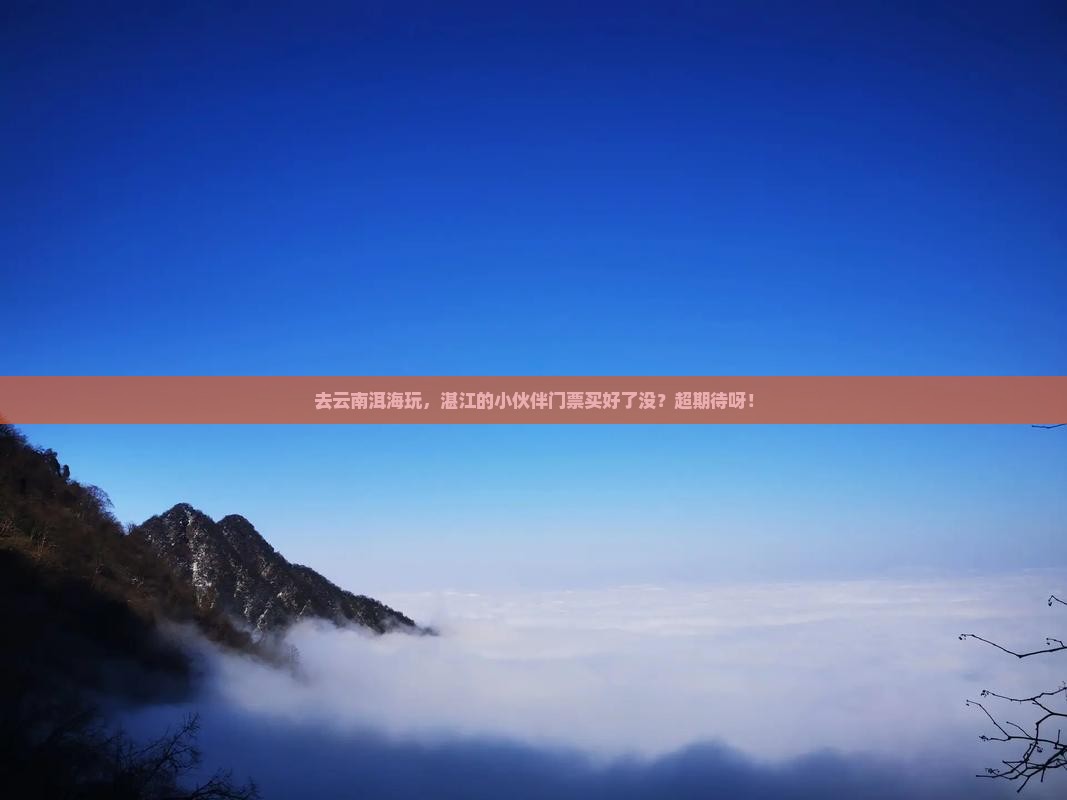 湛江去云南洱海门票