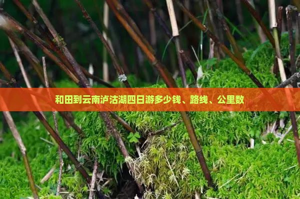 和田到云南泸沽湖四日游