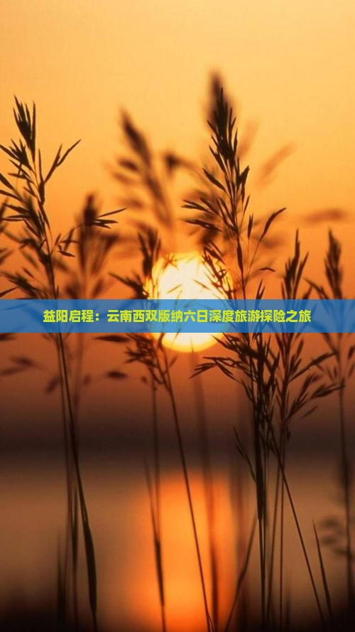 益阳到云南西双版纳六日游