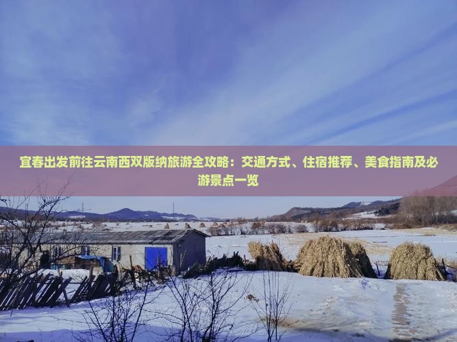 宜春到云南西双版纳攻略