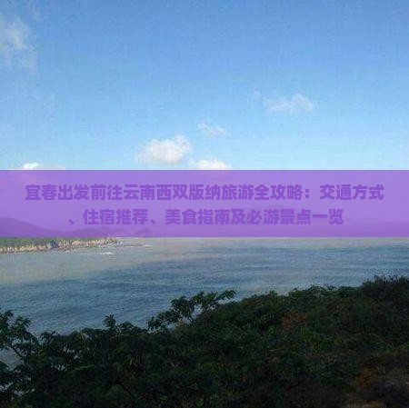 宜春到云南西双版纳攻略