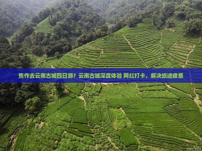 焦作去云南古城四日游