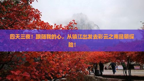 镇江去云南昆明四日游