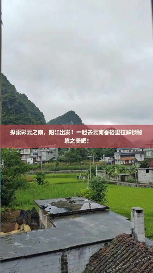 阳江到云南香格里拉旅行社