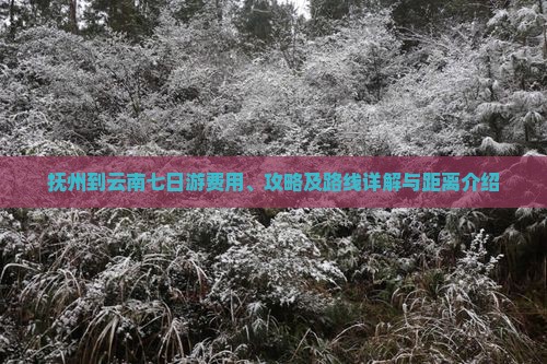 抚州到云南七日游