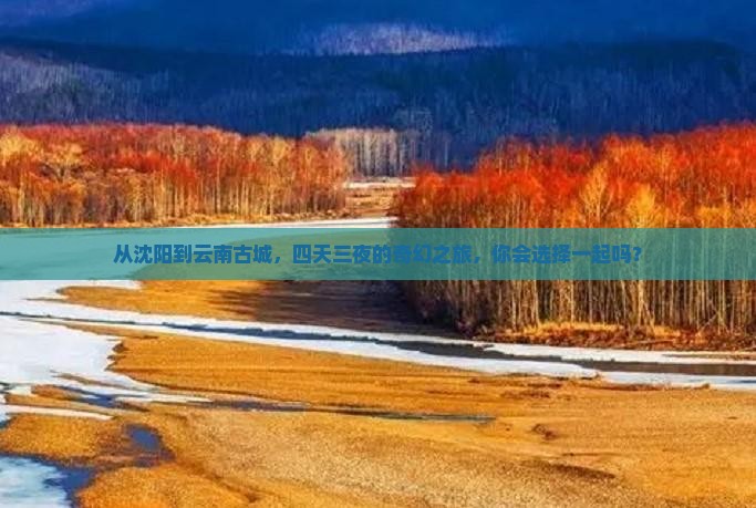 沈阳到云南古城四日游