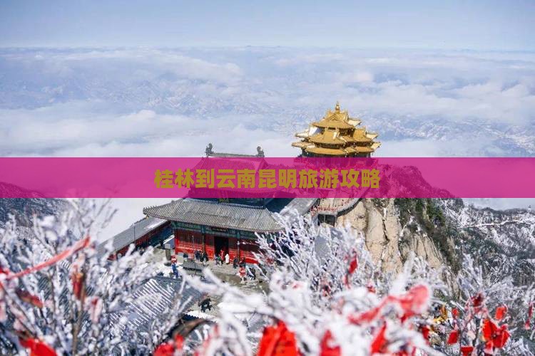 桂林去云南昆明门票