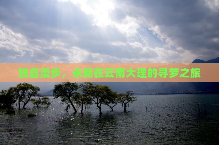 永新去云南大理个人游
