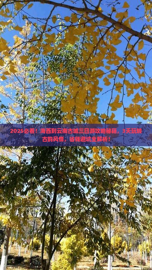 海西到云南古城三日游