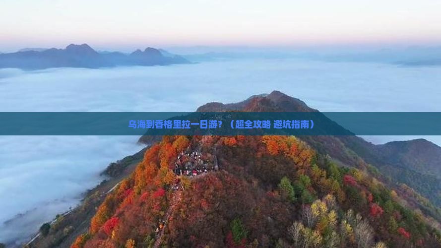 乌海市去云南香格里拉一日