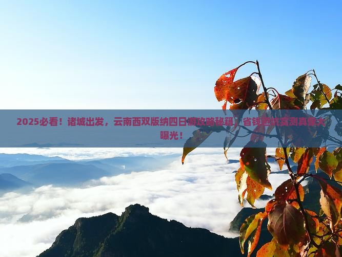 诸城到云南西双版纳四日游