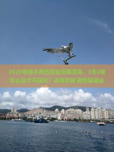 佳木斯去云南洱海攻略