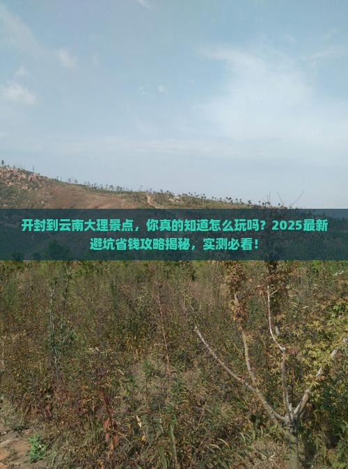 开封到云南大理景点 开封到云南大理景点