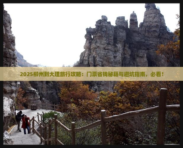 柳州到云南大理门票