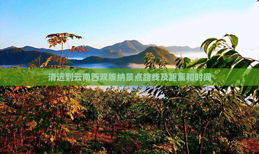 清远到云南西双版纳景点
