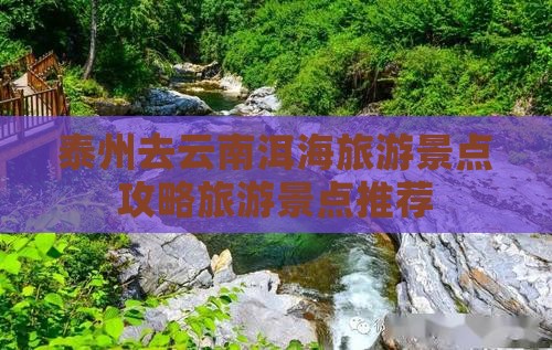 泰州去云南洱海哪里玩