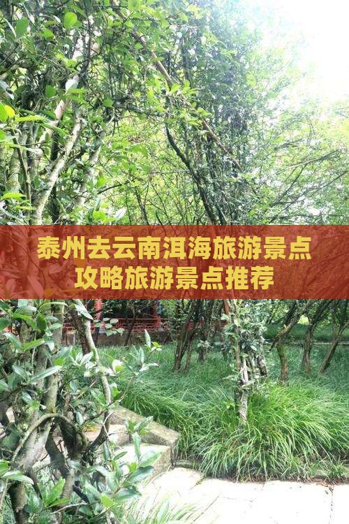 泰州去云南洱海哪里玩