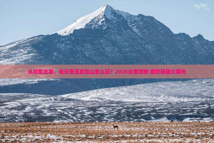 哈密去云南玉龙雪山景点