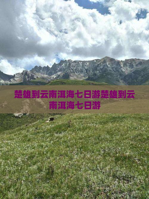 楚雄到云南洱海七日游