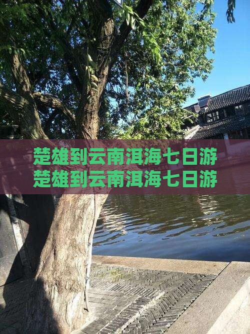楚雄到云南洱海七日游