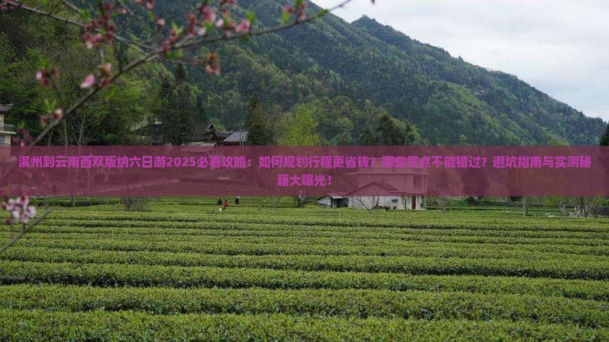 滨州到云南西双版纳六日游