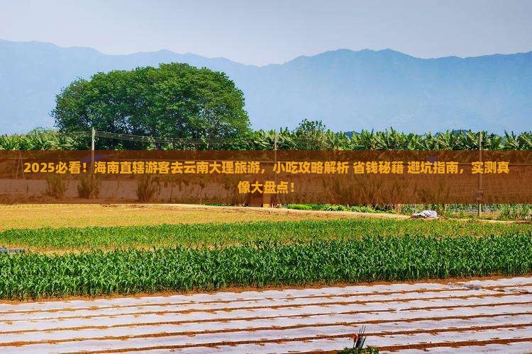 海南省直辖去云南大理旅游小吃