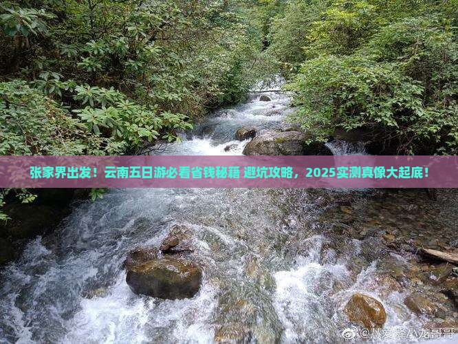 张家界去云南五日游
