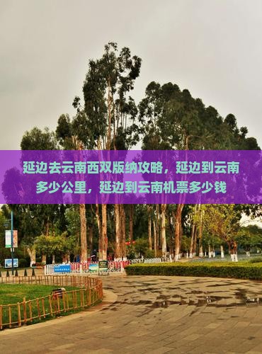 延边去云南西双版纳攻略