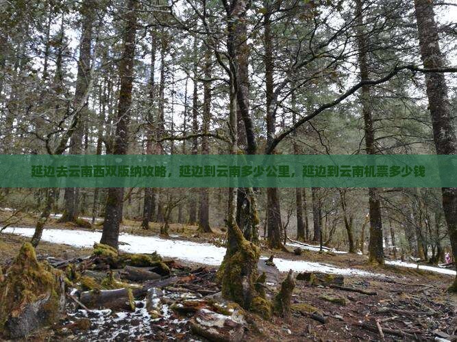 延边去云南西双版纳攻略