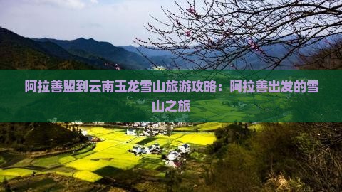 阿拉善盟到云南玉龙雪山旅游