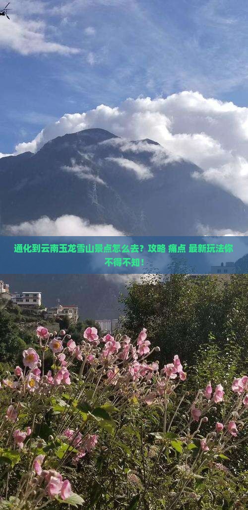 通化到云南玉龙雪山景点
