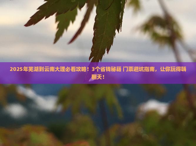 芜湖到云南大理门票