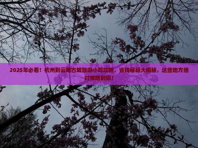 杭州到云南古城旅游小吃