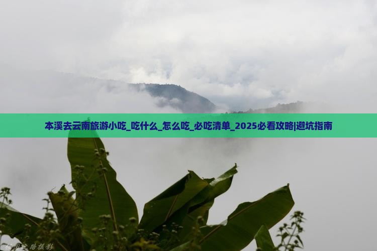 本溪去云南旅游小吃