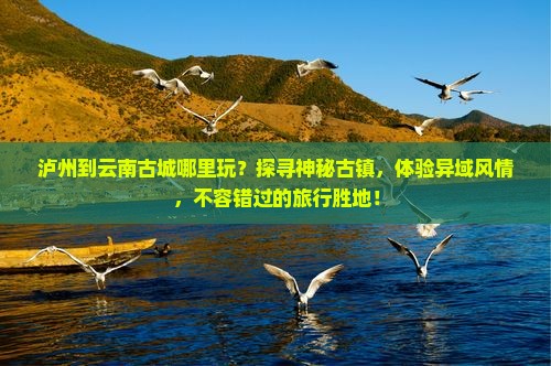 泸州到云南古城哪里玩