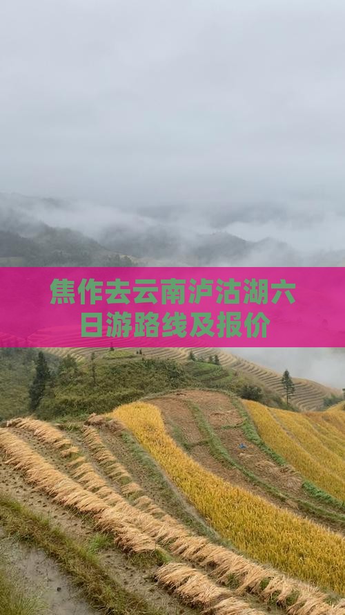焦作去云南泸沽湖六日游