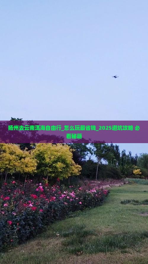 扬州去云南洱海自由行