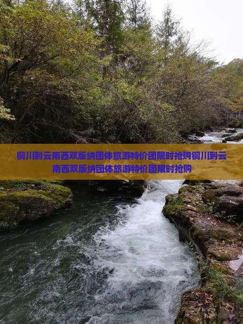 铜川到云南西双版纳团体旅游