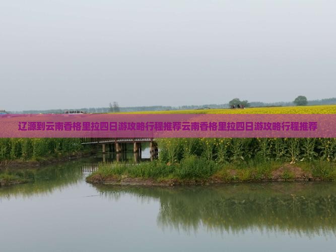 辽源到云南香格里拉四日游