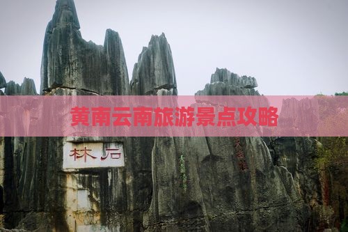 黄南去云南昆明团体旅游