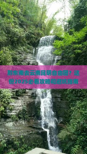 黔东南去云南昆明自由团